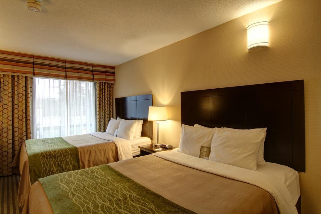 Comfort Inn Chatham-Kent Esterno foto