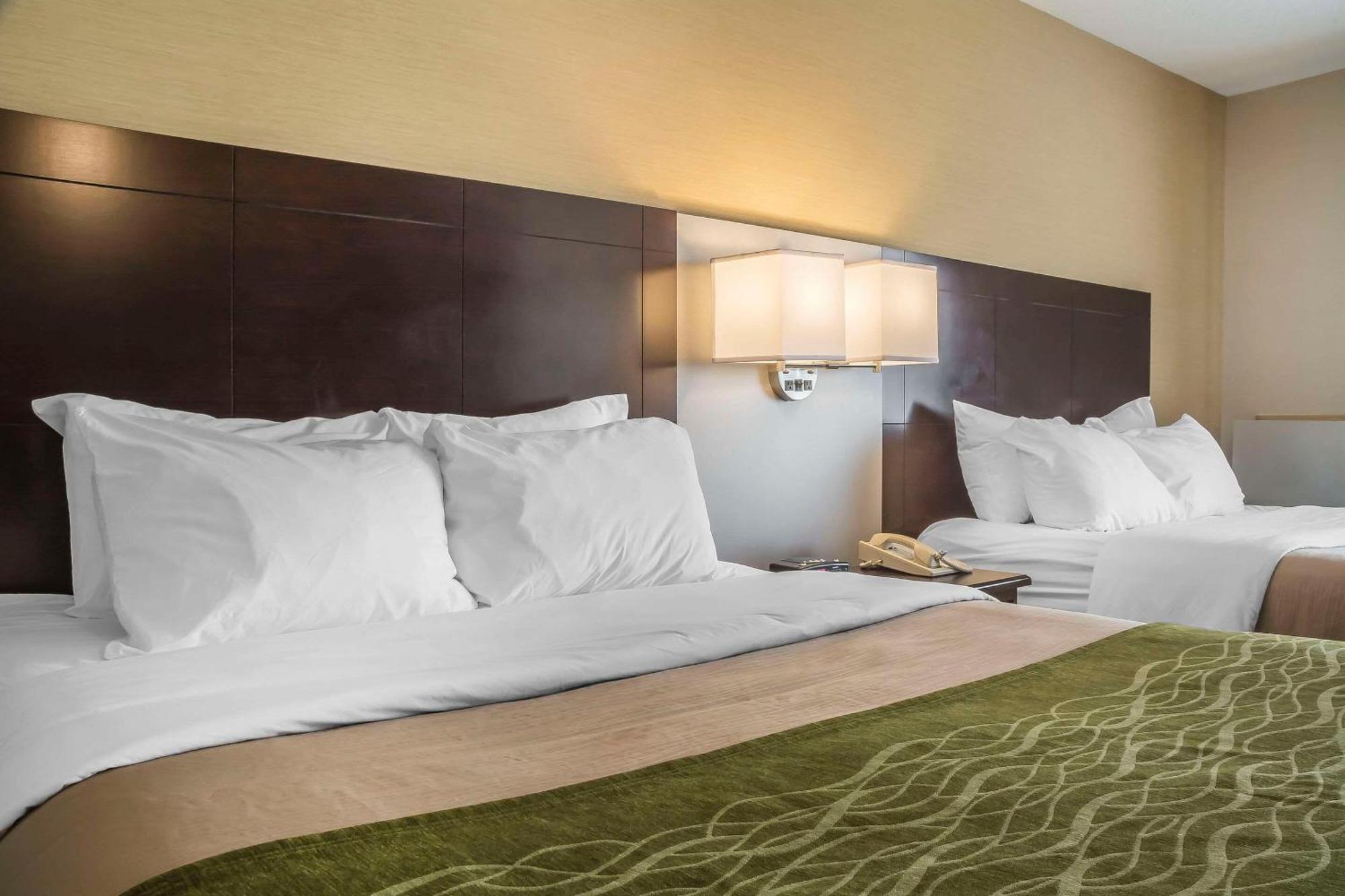 Comfort Inn Chatham-Kent Esterno foto