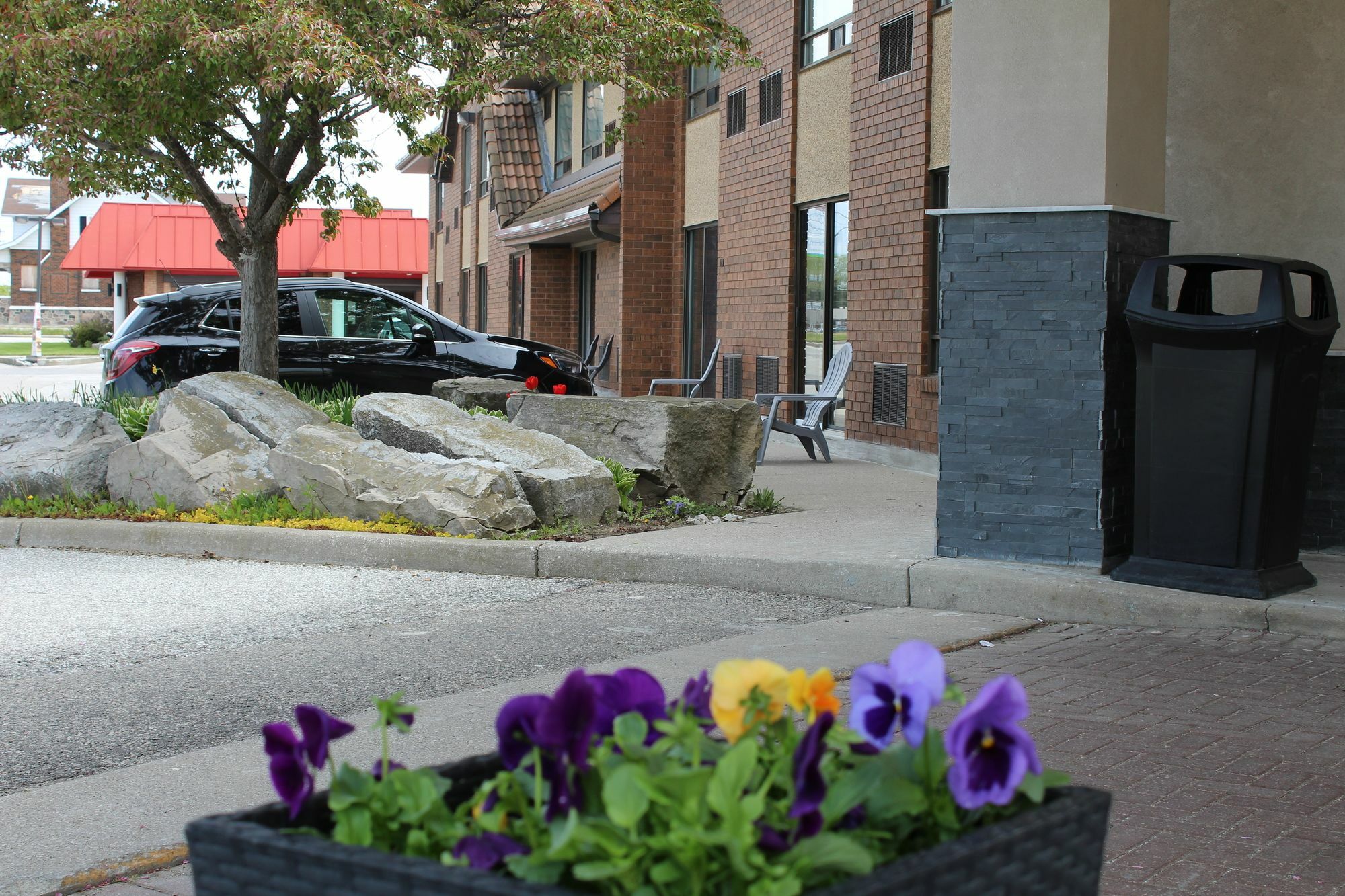 Comfort Inn Chatham-Kent Esterno foto