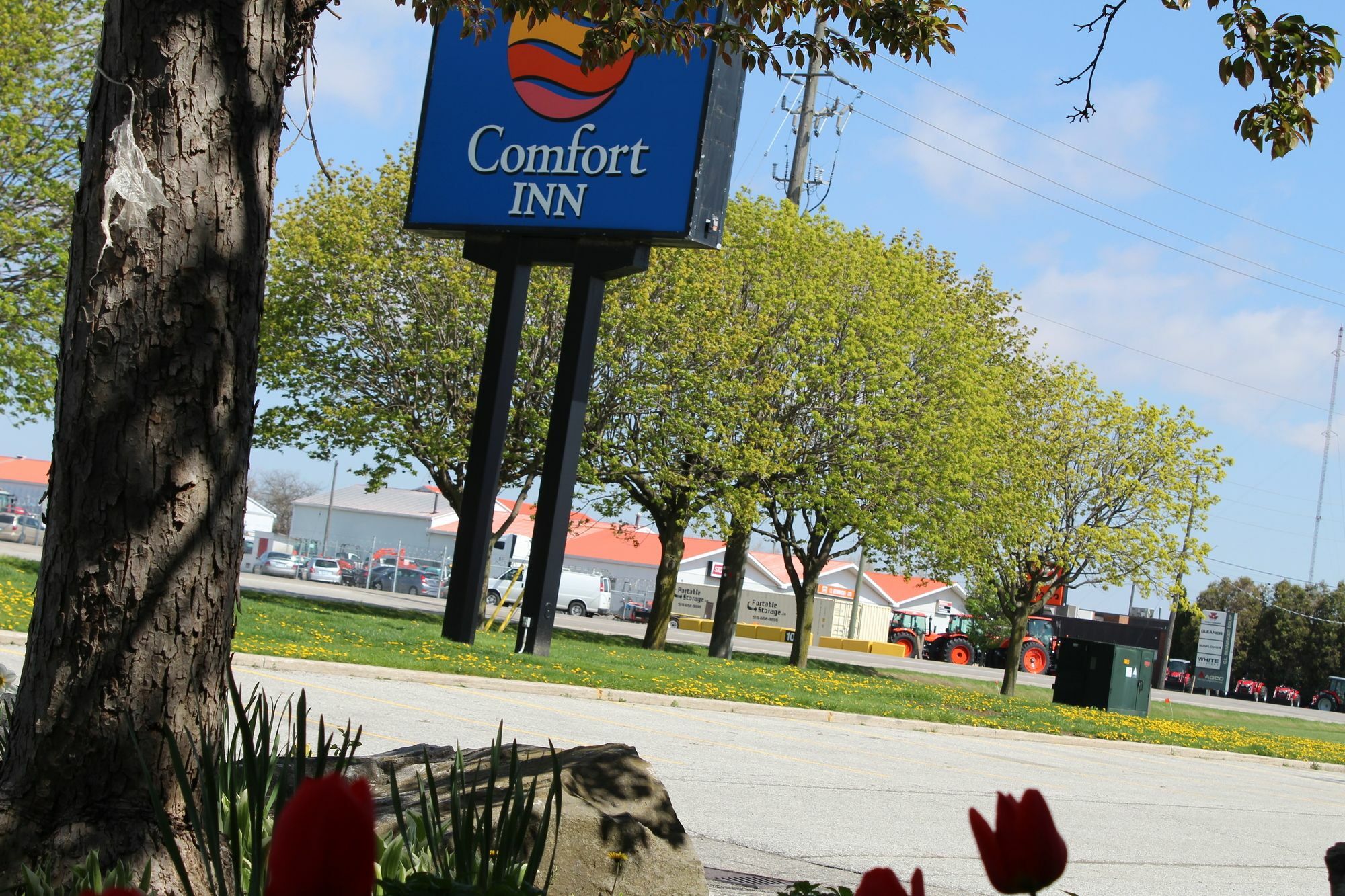 Comfort Inn Chatham-Kent Esterno foto